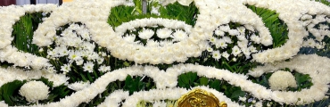 Tang Lễ Quận 5
